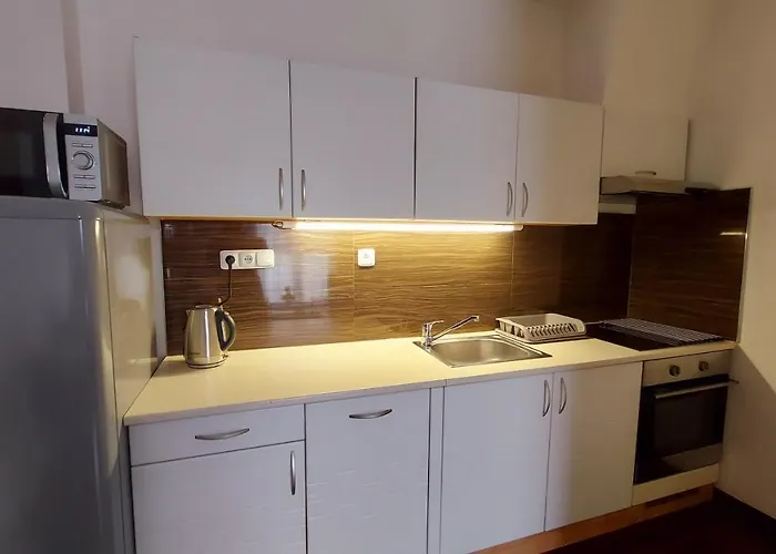 Moser 1303 Апартаменты Карловы Вары