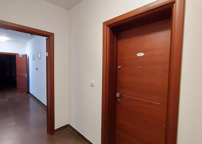 Апартаменты Moser 1303