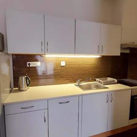 Moser 1303 Appartamento Karlovy Vary